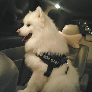 妽妽把我弄硬了90分钟麻豆网站
